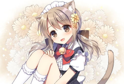 兽耳漫画,奇幻世界中的萌宠冒险之旅